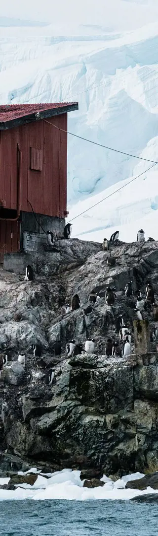 Almirante Brown Antarctic Station